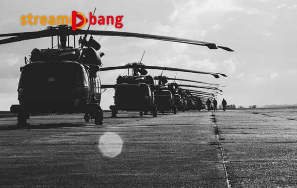 Litwini zakupią dla swojej armii sześć śmigłowców Black Hawk