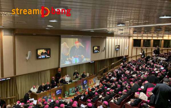 Po Synodzie Amazońskim: niemieccy duchowni liczą na zmiany w Kościele, inni ostrzegają przed widmem schizmy