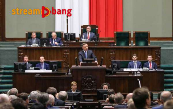 PAD w Sejmie: podstawą patriotyzmu, w odróżnieniu od nacjonalizmu, jest miłość [+VIDEO]