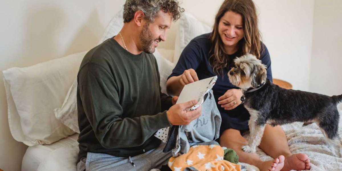 STRAIGHTFORWARD TIPS TO ENSURE EASE OF YOUR PETS WHILE MOVING TO AMBALA