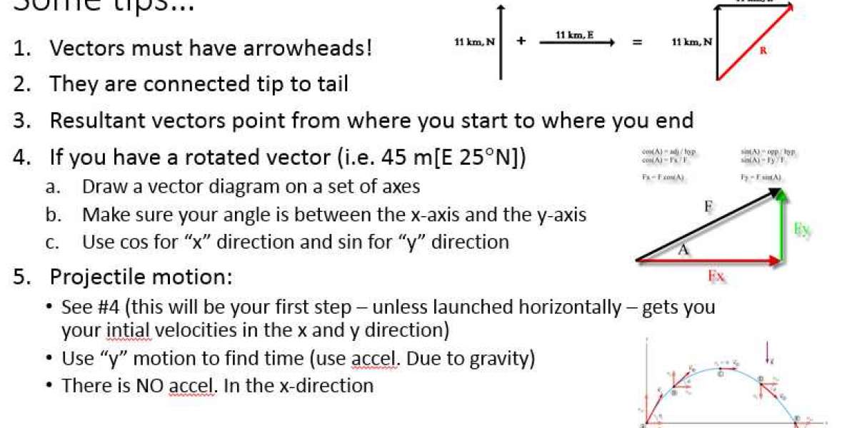 Free Vec Rs And Projectiles Worksheet Answers Physics Classroom Windows Utorrent Nulled Final Key Exe