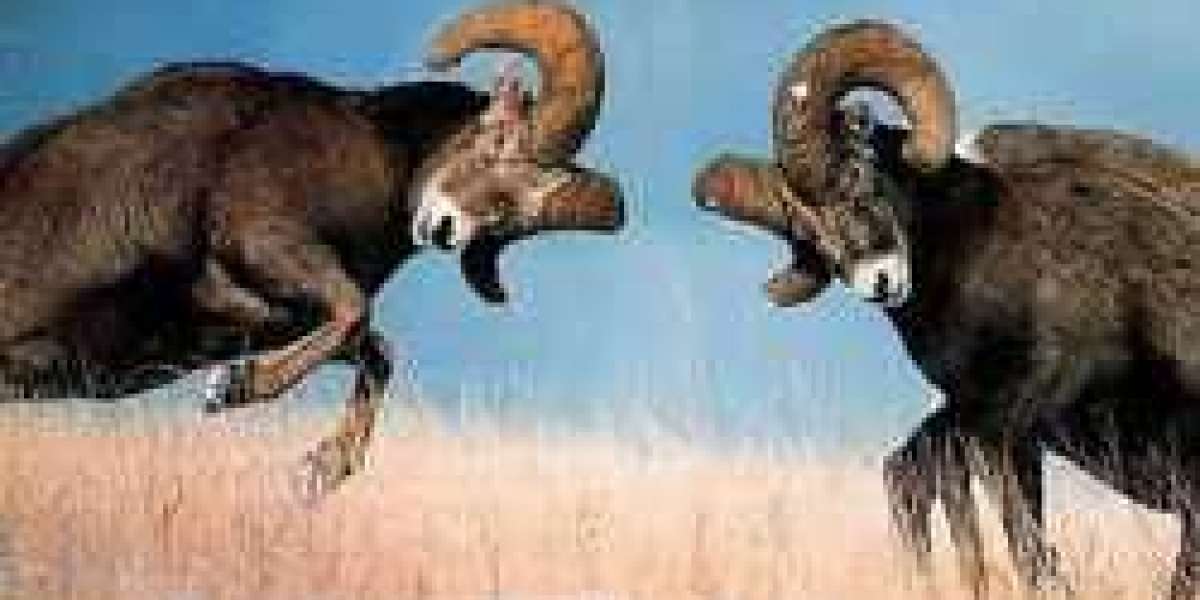 720 Intraspecific Competition Examples In Hu Torrent Mp4 Torrent Hd