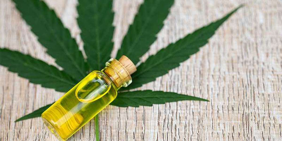 https://groups.****.com/g/tacoma-farms-cbd-oil-price/c/Dg-qjQ4WQLo
