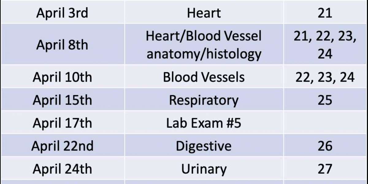 License Ana My Of The Heart Exercise 20 32bit Download Full