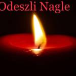 Odeszli Nagle Profile Picture