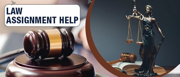 Why Else Do Law School Students Go For Homework Help? – Balthazar Korab