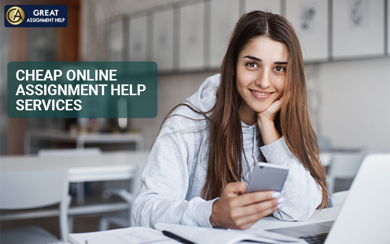Carry Out Good Grades With Our Proficient Online Assignment Helpers - TeqGuru