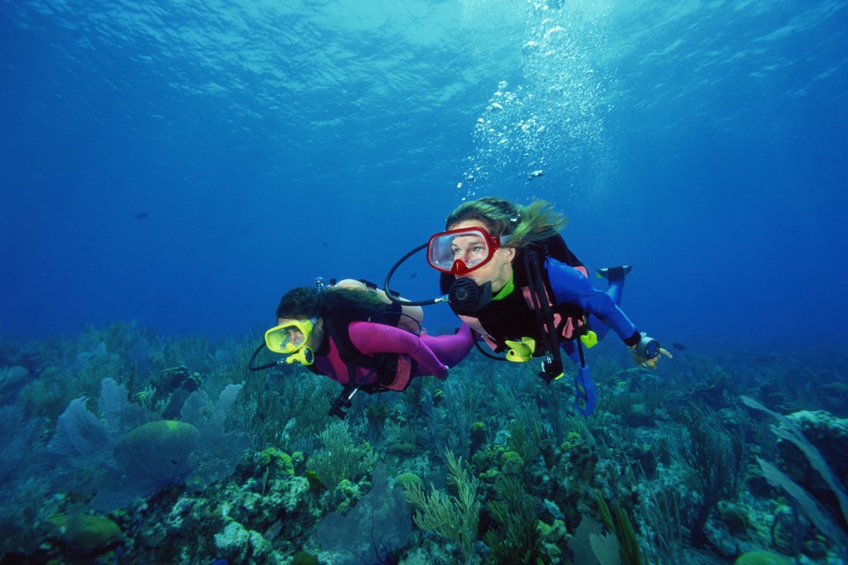 Things to expect in your first scuba diving experience | by Phuket Dive Center | Sep, 2022 | Medium