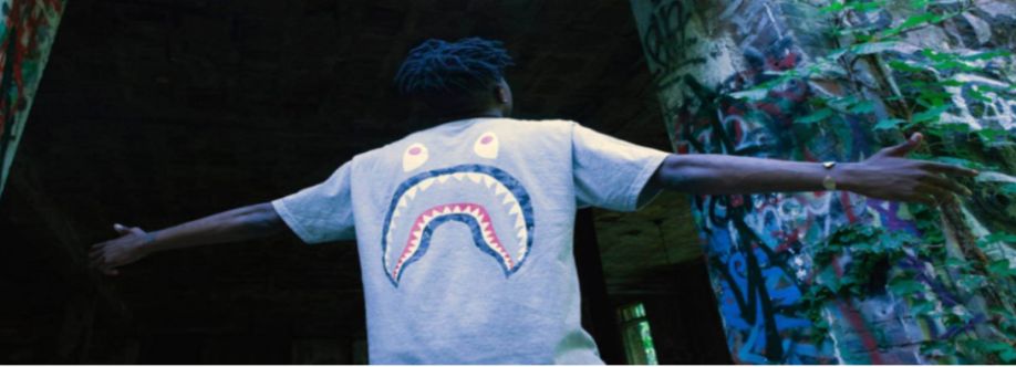 Bape Hoodie Cover Image