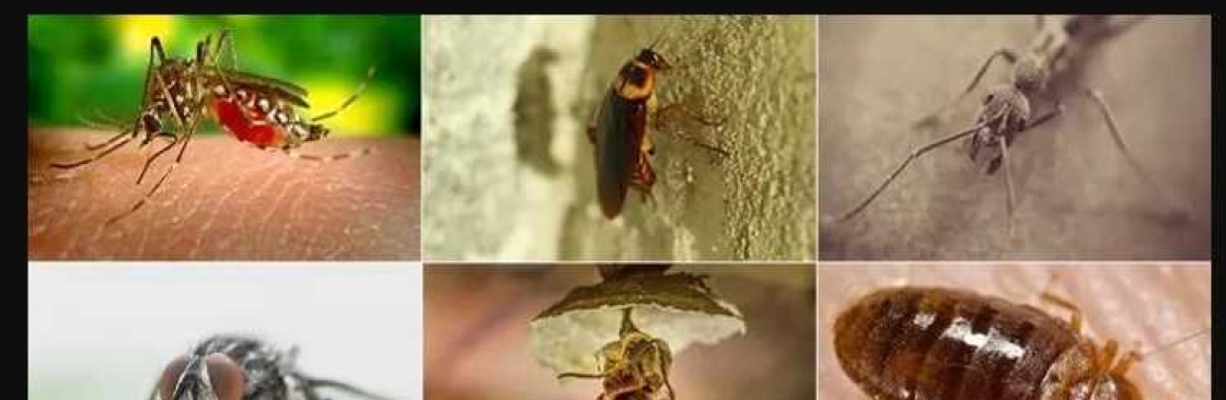 envirosafe pestcontrol Cover Image