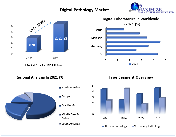 Digital Pathology Market: | 2021 - 29 | Overview Share, Size, Growth