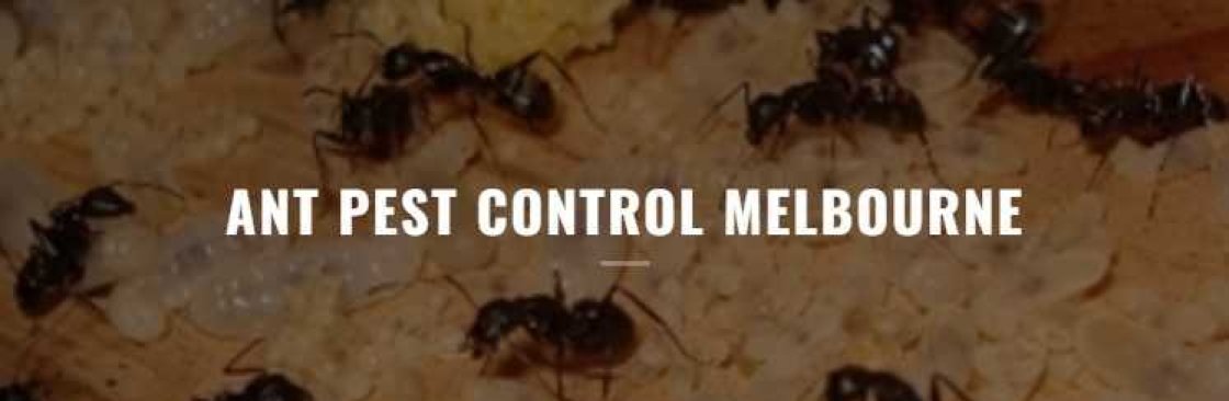 Ant Pest Control Melbourne Cover Image
