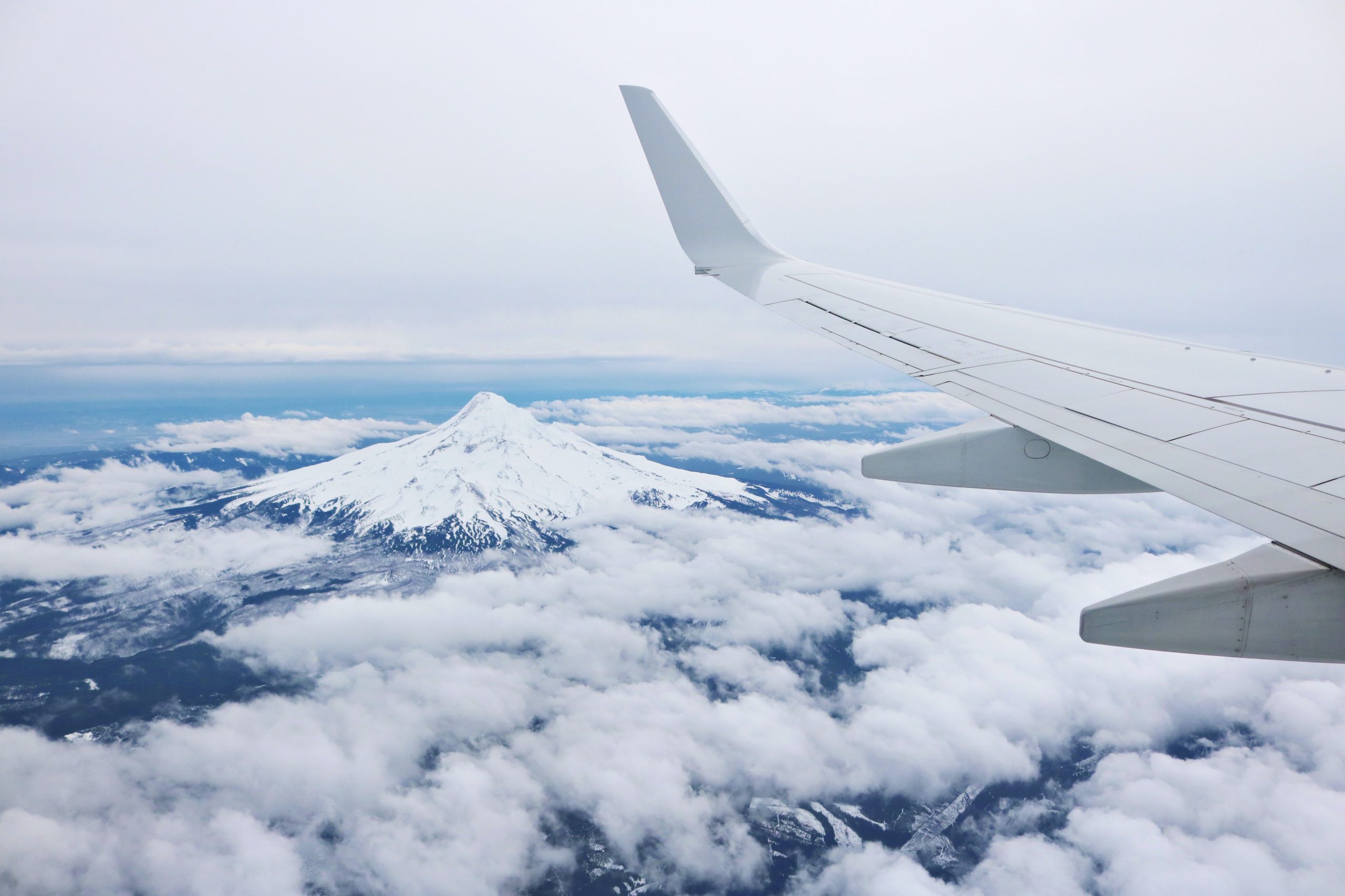 Get the full guide how to book SAS flights online