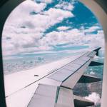 indian airline Profile Picture