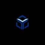 Virtual Team Technologies Profile Picture