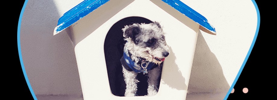 Doggywala Doggywala Cover Image