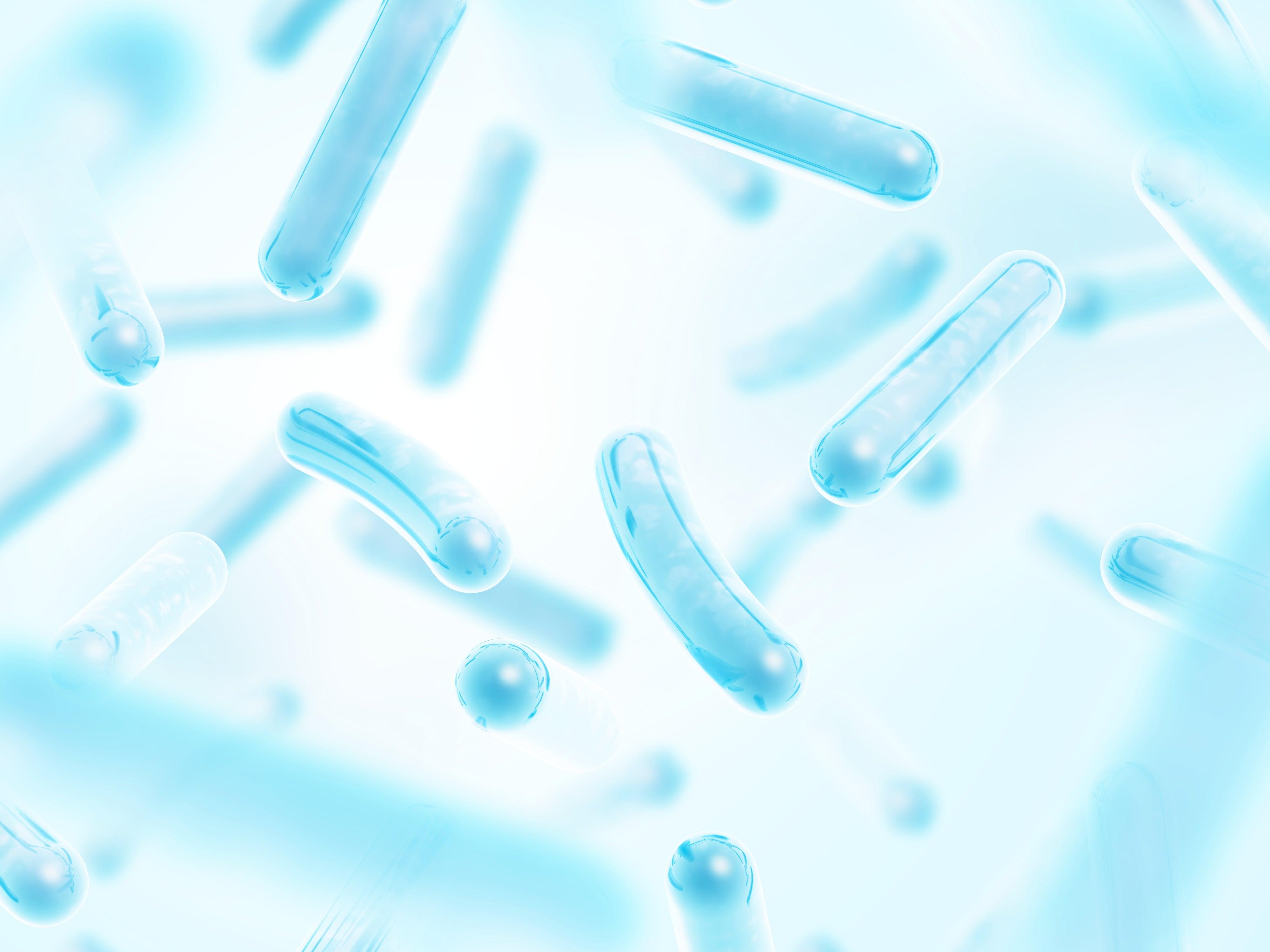 Explore Blog Collection - Learn How to Grow Plants – Impello® Biosciences