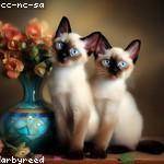 Donna Tromp Profile Picture