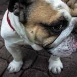 Matilde Becker Profile Picture