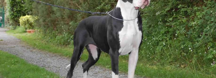 Dogbreeder Pune Cover Image