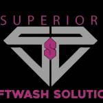 Roof Washing Baton Rouge Profile Picture