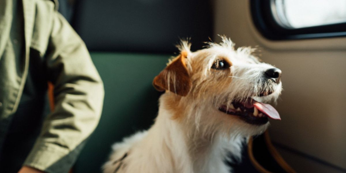 https://airlinesupdates.com/blog/frontier-airlines-pet-policy/