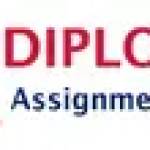 diploma assignment111 Profile Picture