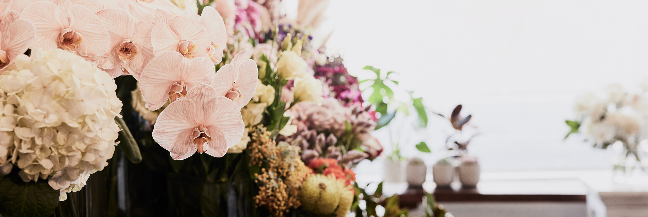 Same Day Flower Delivery Seddon I The Flower Shed