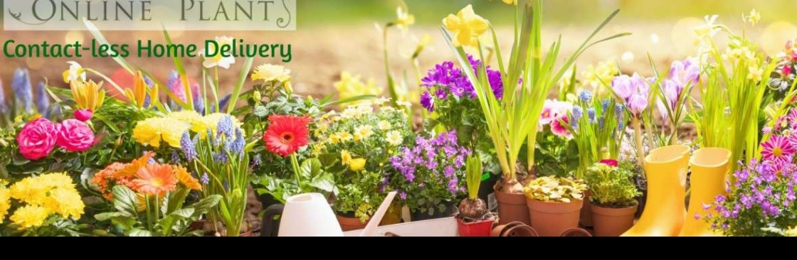 plants online Cover Image