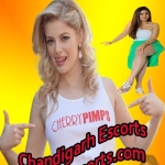 Chandigarh Escorts profile picture