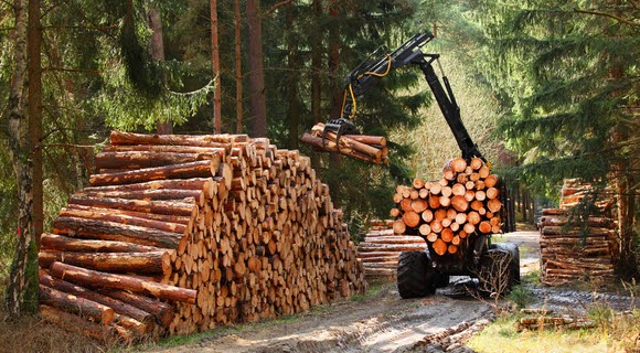 The Impact of Lot Clearing Operations on Urban Development