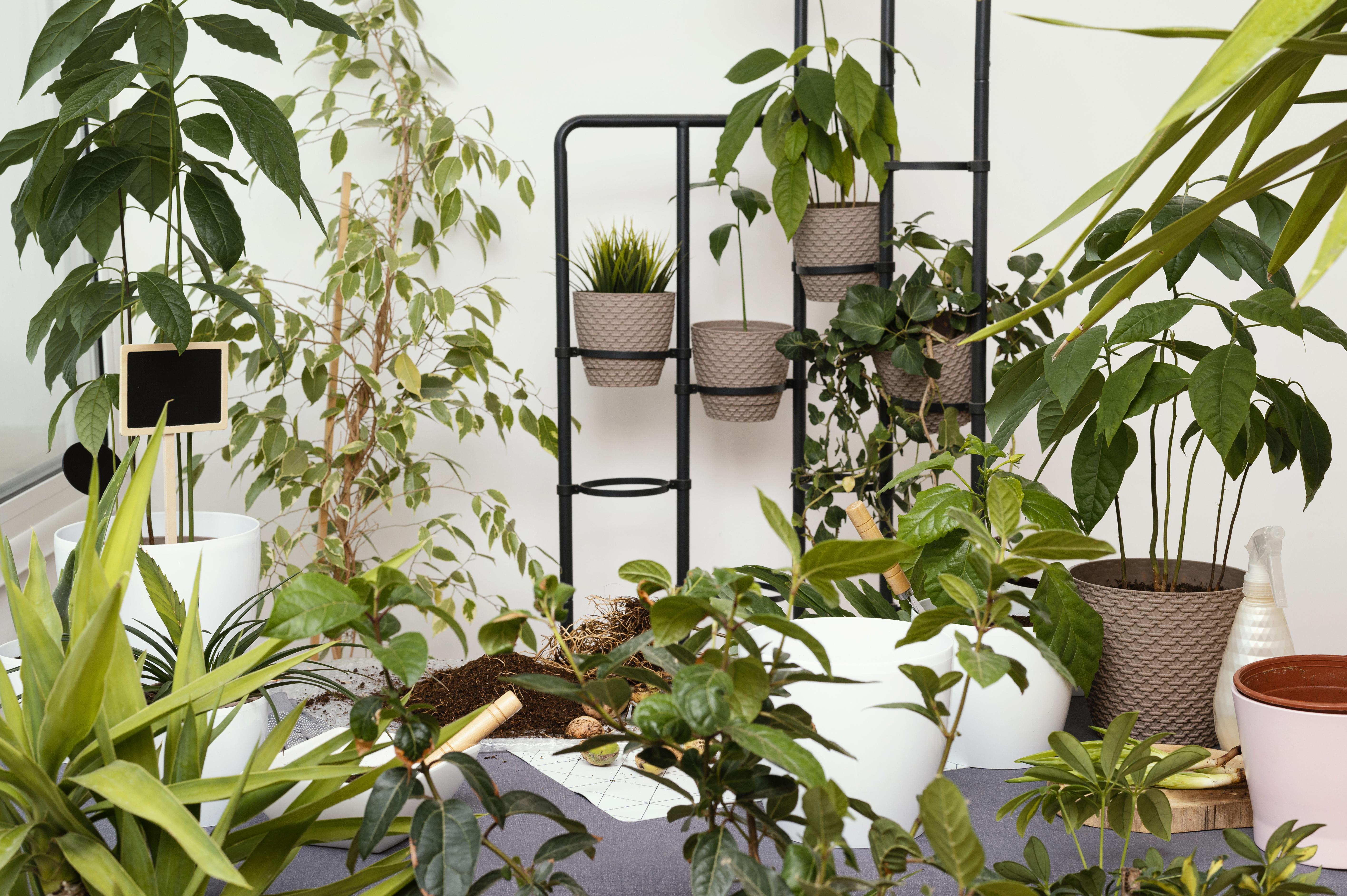 Luxury Artificial Plants Dubai | Plants in KSA, UAE | Shajara