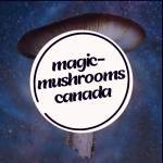 Magic Mushrooms Canada profile picture