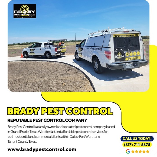 Brady Pest Control Mansfield, TX | Exterminator Mansfield,TX Pest Control