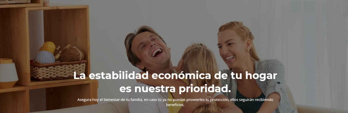 Seguros en Vida Cover Image