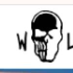 warren lotas Profile Picture