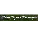 moises pizana hardscapes Profile Picture