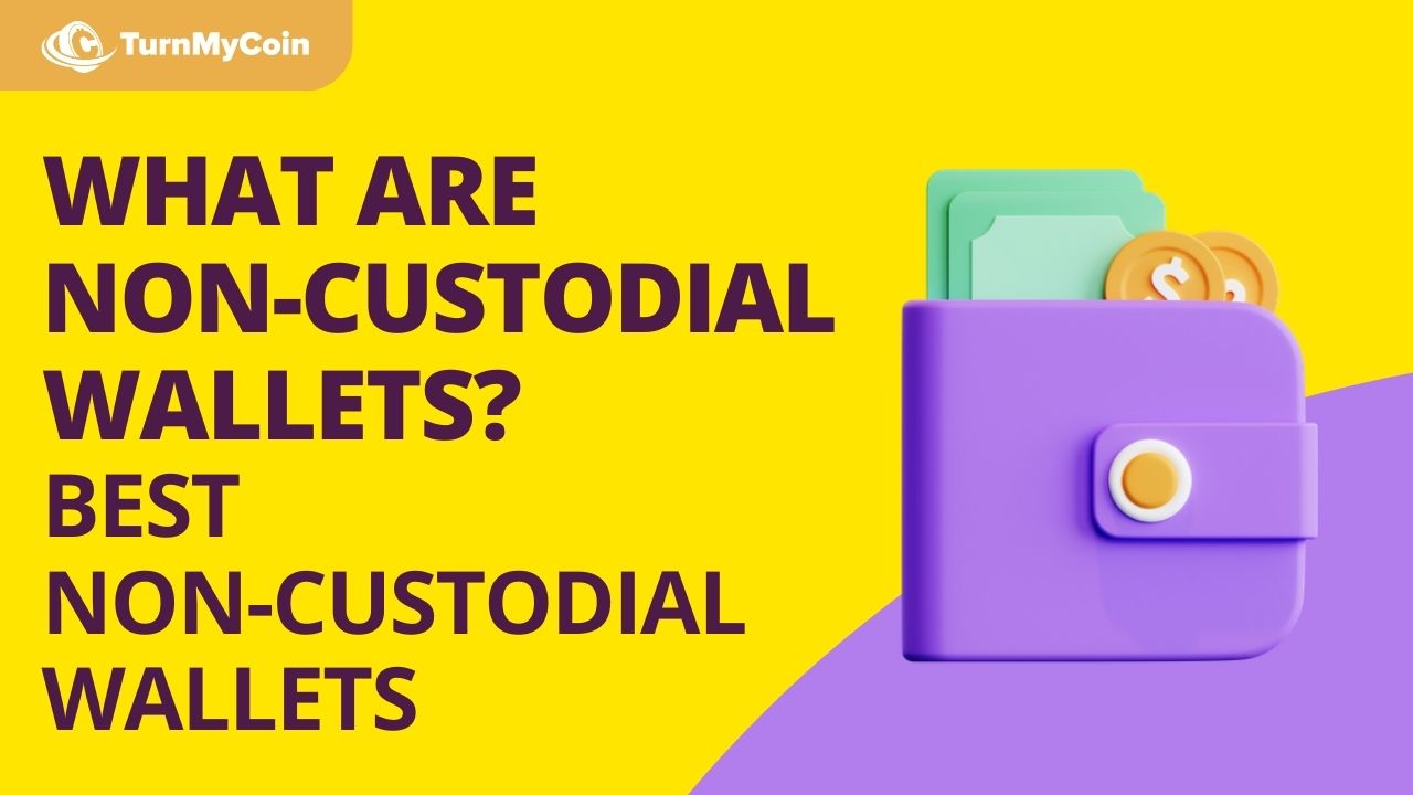 What Are Non Custodial Wallets? 10 Best Non Custodial Wallets