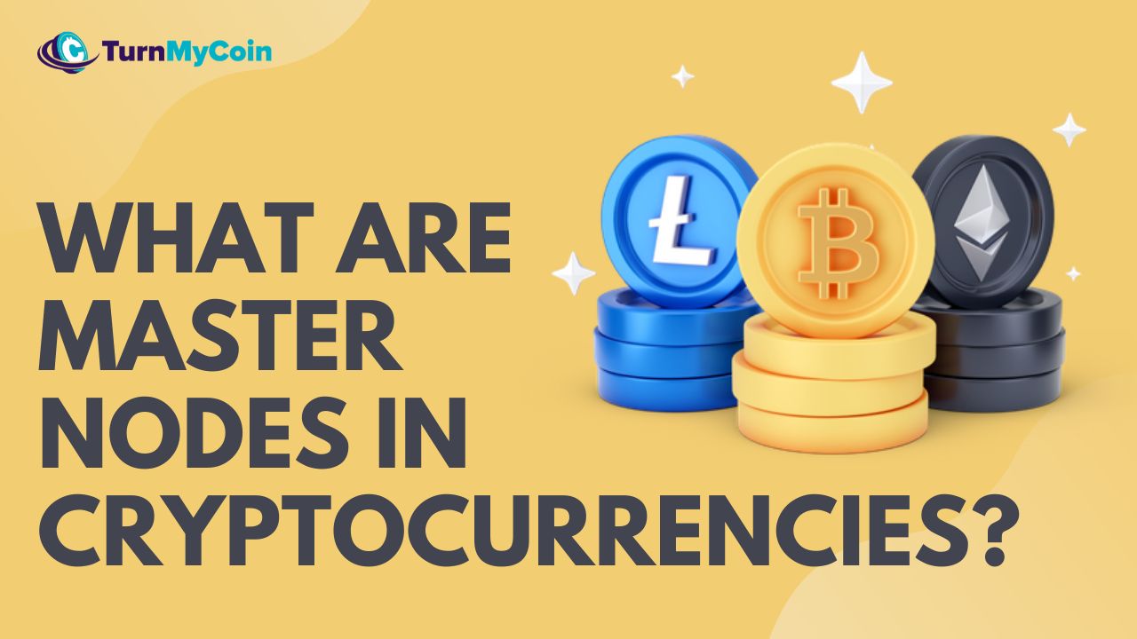 What are Master Nodes? 5 Unique Things You Didn't Know