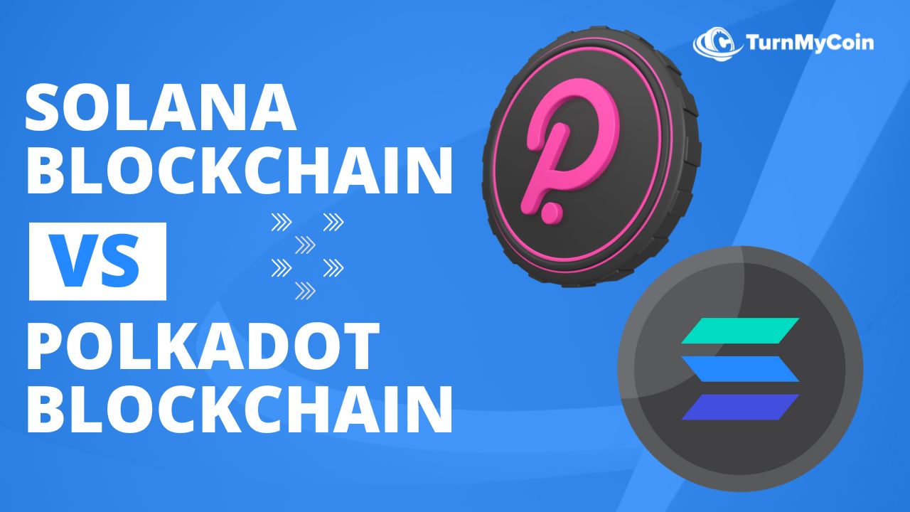 Solana Blockchain Vs Polkadot Blockchain Technology: 5 Easy Comparisons