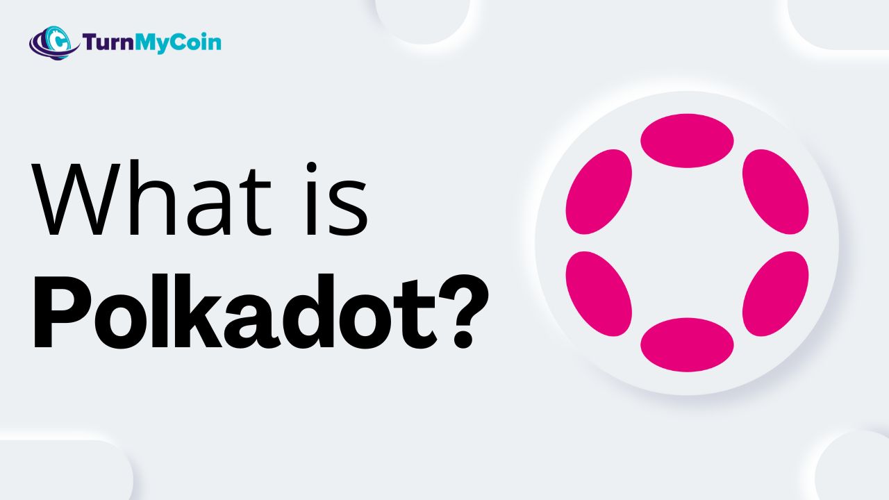 What is Polkadot? 8 Interesting facts about it - TurnMyCoin: Crypto assets trading Worldwide - A beginner's guide