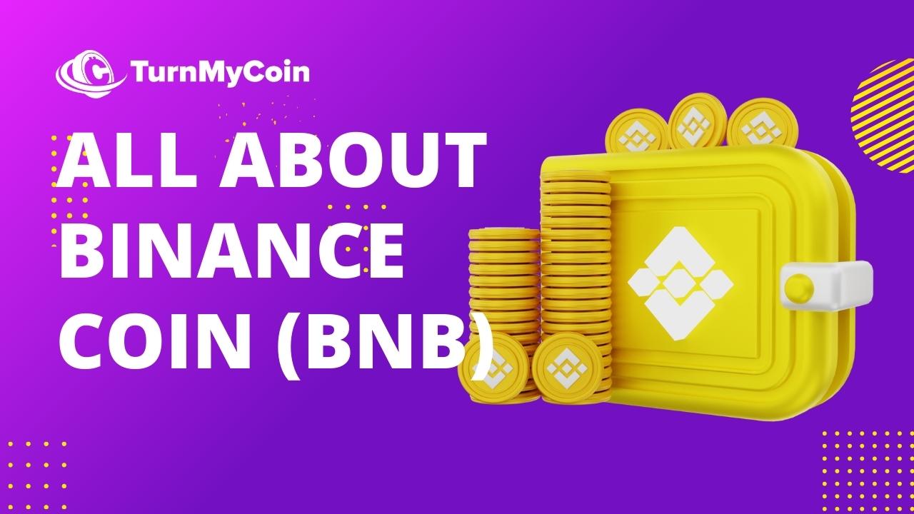 8 Promising Facts About Binance Coin. Is BNB A Good Investment - TurnMyCoin: Crypto assets trading Worldwide - A beginner's guide