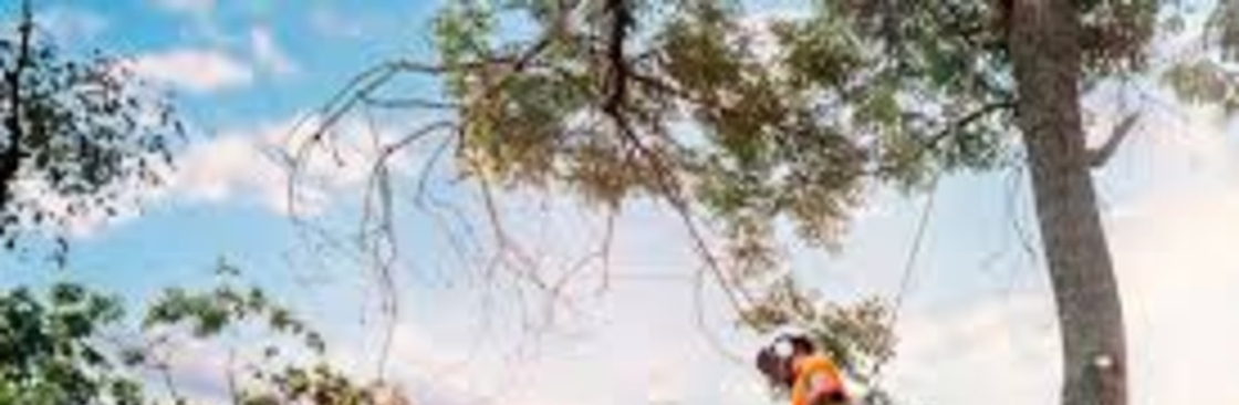 Trees and All Cover Image