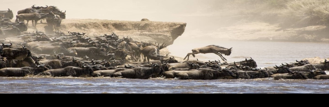 Elwama Tours Kenya Ltd Cover Image