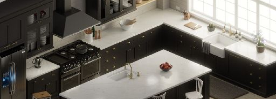 Lone star remodeling and construction Cover Image