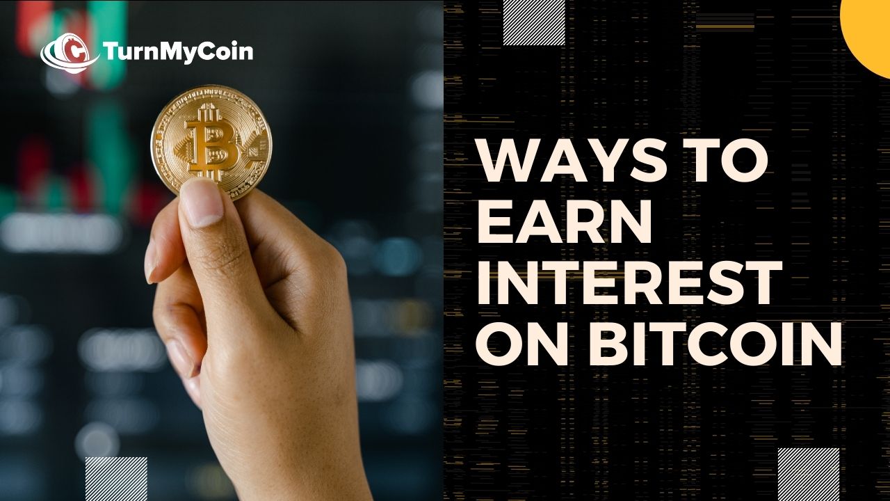 Attractive Ways To Earn Interest On Bitcoin - TurnMyCoin: Crypto assets trading Worldwide - A beginner's guide