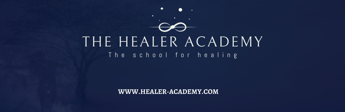 The Healer Academy Cover Image