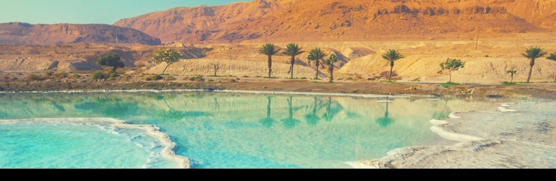 Alon Transport Cover Image