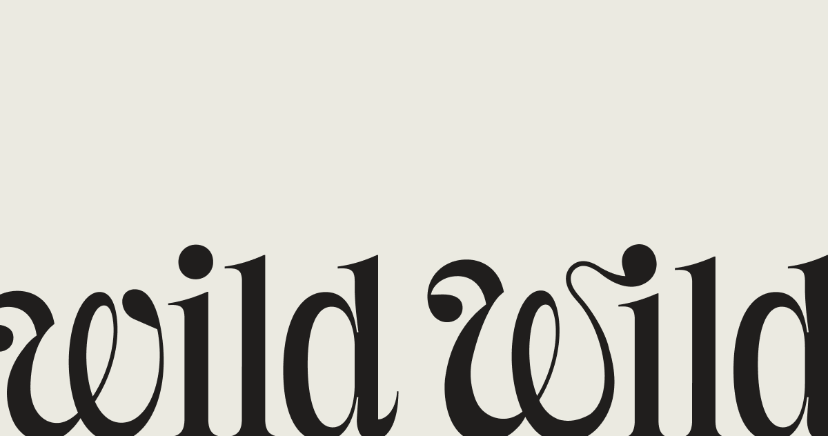 Studio Wild Wild