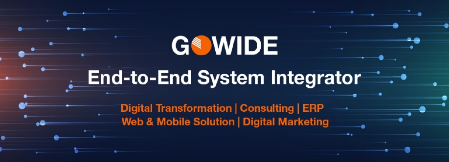 Gowide Solutions Cover Image